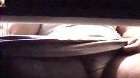 敏捷的矮人小狗他媽的肥胖的小雞