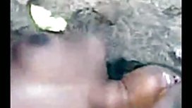 雙性戀三人組有熱性