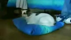 慕尼黑啤酒節成員在森林裡塗鴉